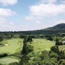 (주)사이프러스 국민일보