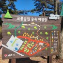 남원시청교룡공원숲속야영장