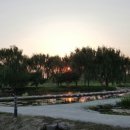 벌교원동 이미지