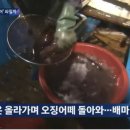 풍년드림