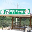 치산미나리