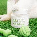 화이트펫# 이미지