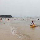 대전해수욕장3 이미지