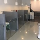 Hi - 도그 이미지