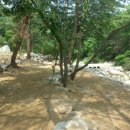 솔바람야영장 이미지