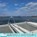 [강원도 속초] 속초마리나 프라이빗 요트투어 탑승후기