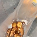 (주)예카투어 | [여자혼자 치앙마이 여행] 치앙마이 풀코스 투어 후기 몬쨈,엘리핀팜,사이프레스레인,도이수텝 야경 투어
