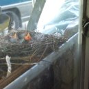 굿모닝농장 이미지