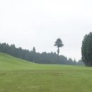 노송골프 이미지