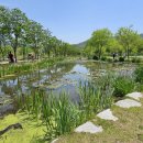 거창창포원 이미지
