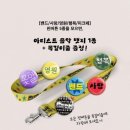 디지푸드 | 2026 피크페스티벌 2일차 후기, 피크페 후기