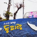 중앙복돼지