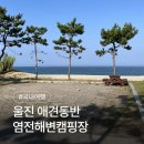 울진소나무 | 애견동반 오션뷰 &lt;울진 염전해변캠핑장&gt; 16번 이용후기