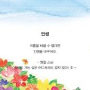 파이진글로벌 이미지