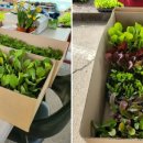 칠보농장 이미지