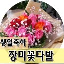 10 월 10 일 수요일 나마스시에서 꿀꿀이 모임합니다 이미지