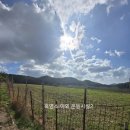 야곱농장 이미지