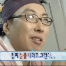 강릉초등학교 | 강릉시 강릉분 강릉초