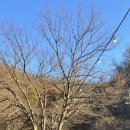 강촌장어집 이미지