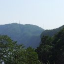 아미타사 Daum카페