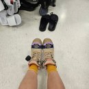 대야카센타 | [워홀막차 D+56-63] 퍼스 오퍼레이터 자격증 학원 ATM 가격 및 후기