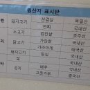 하꼬야 후기! (파주신세계첼시아울렛)