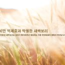 보리한의원 이미지