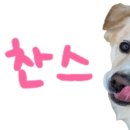 삼원칼국수 송정직영점 이미지
