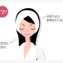 피부학개론