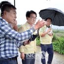 강진5호 이미지