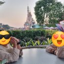 안경랜드21봉선점 | 홍콩 디즈니랜드 티어1 얼리패스 후기와 모멘터스 명당 추천