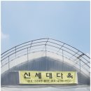 신세대다육