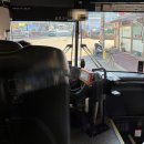 고맛소(고속도로맛휴게소) | 전라도 고흥 1박2일 먹부림 후기 3편 - 고흥 로컬 찐맛집 회마트