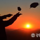 대룡산약국 이미지