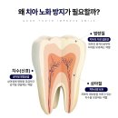 굿티스치과기공소 이미지