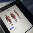 영PT샵 | [광교PT샵] &#34;리스탠스 재활 PT&#34; 1대1 PT 후기