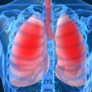 위너골프존 이미지