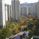 동백호수공인중개사사무소 이미지