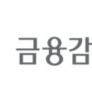 금융감독원 이미지