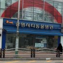 광명시티동물병원 이미지