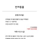 과자스튜디오 이미지
