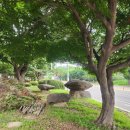 학도의용군 파주지대 이미지