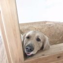 하대동213 이미지