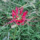 효창공원 이미지