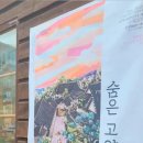 루피쉬스튜디오 이미지