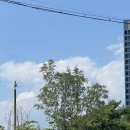 행복하개 남양주점 | [일상] 새로운 가족이 생겼어요 ෆ˙ᵕ˙ෆ (보호소 입양후기)