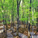 (유)영지건설 | 일본의 유네스코 세계문화유산