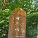 진동리주차장2(주차장 내) 이미지