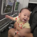 종로-신교-종로-신-384 | 청와대 개방 관람 신청 및 꿀팁(8월 1일 관람 중단)