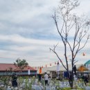 모래벌농장 이미지